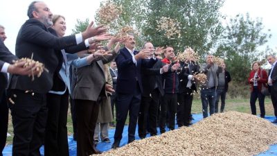 Trakya Kalkınma Ajansı, S.S. Meriç Alibeyköy Tarımsal Kalkınma Kooperatifi ve