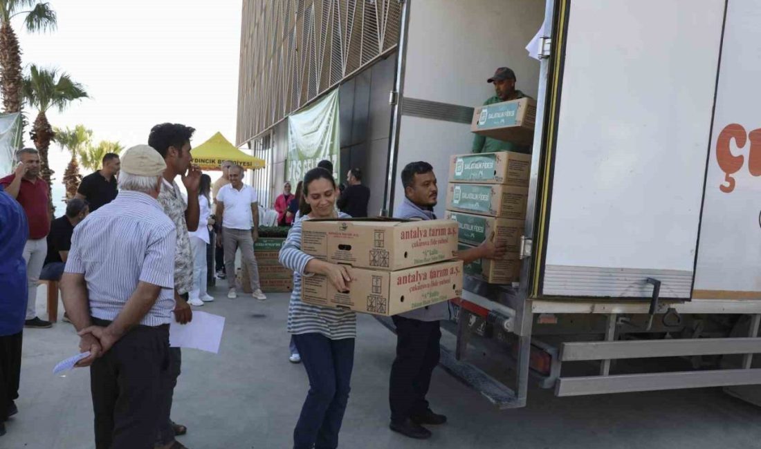 Mersin Büyükşehir Belediyesi, Aydıncık’ta 42 üreticiye 45 bin 360 hıyar