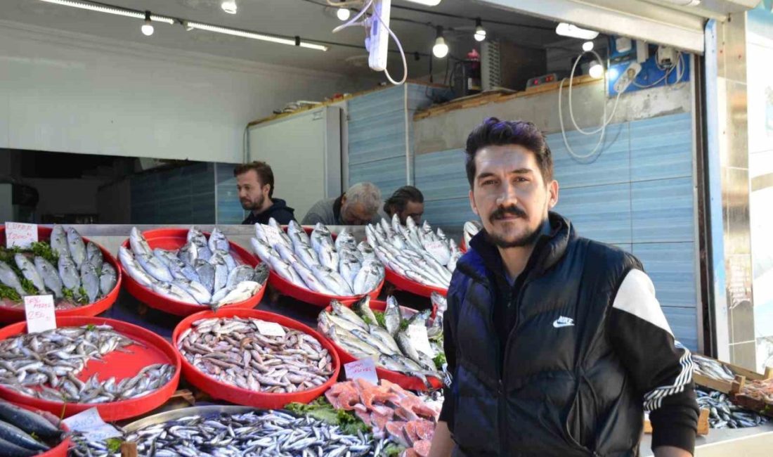 Bilecik’te balık sezonunun açılmasıyla birlikte tezgahlarda hareketlilik devam ederken, mevsiminin