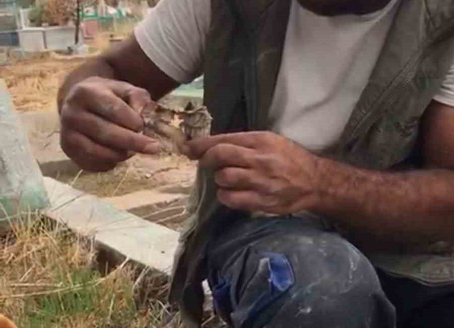 Diyarbakır’da mezar kazan bir kişi, toprakta kefenlenmiş bir oyuncak bebek