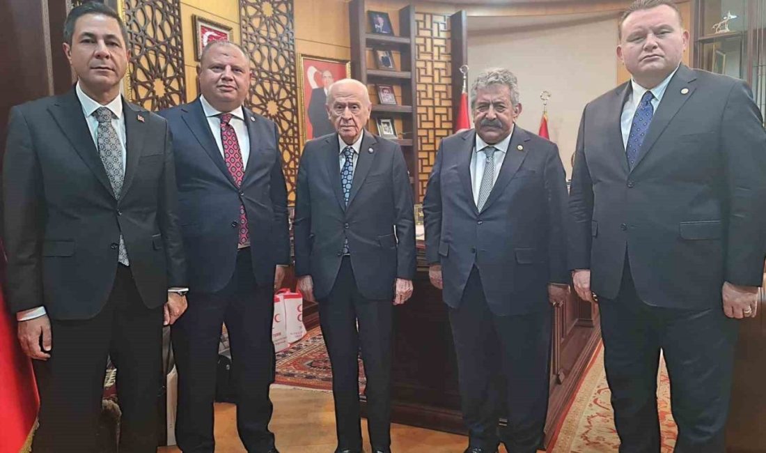 Milliyetçi Hareket Partisi’nin (MHP) Milli Dayanışma, Kardeşlik ve Demokrasi Komisyonu