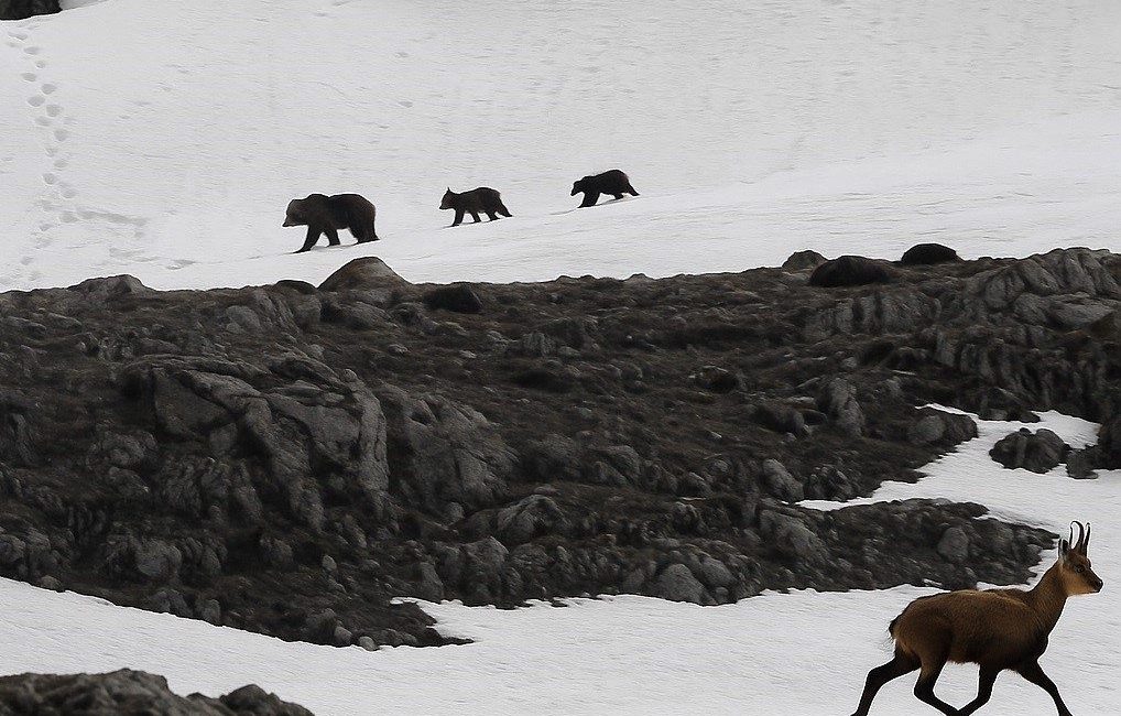 Erzincan ile Tunceli arasında yer alan 3 bin 300 rakımlı