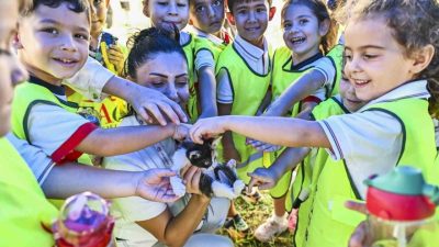 Antalya Muratpaşa Belediyesi, 4 Ekim Dünya Hayvanları Koruma Günü’nde geçici