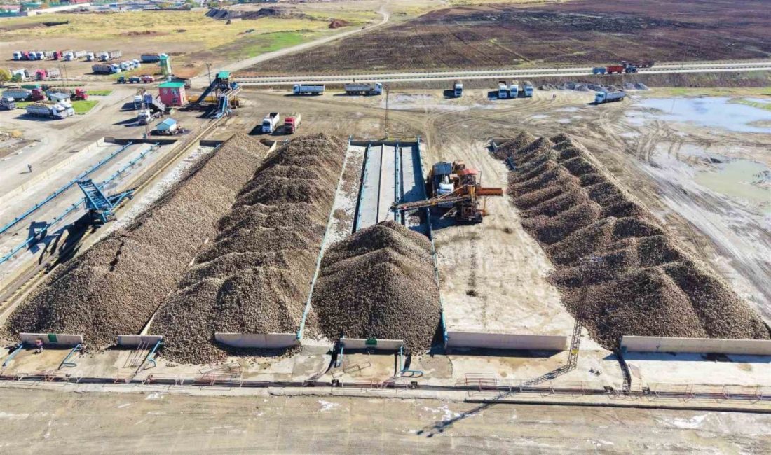 Muş’ta 56 köyde bin 500 üreticinin ekimini yaptığı yaklaşık 320