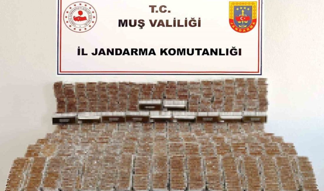 Muş’ta 40 bine yakın dolu makaron ele geçirildi Muş İl Jandarma Komutanlığı ekipleri, kaçak tütünle mücadele kapsamında düzenledikleri