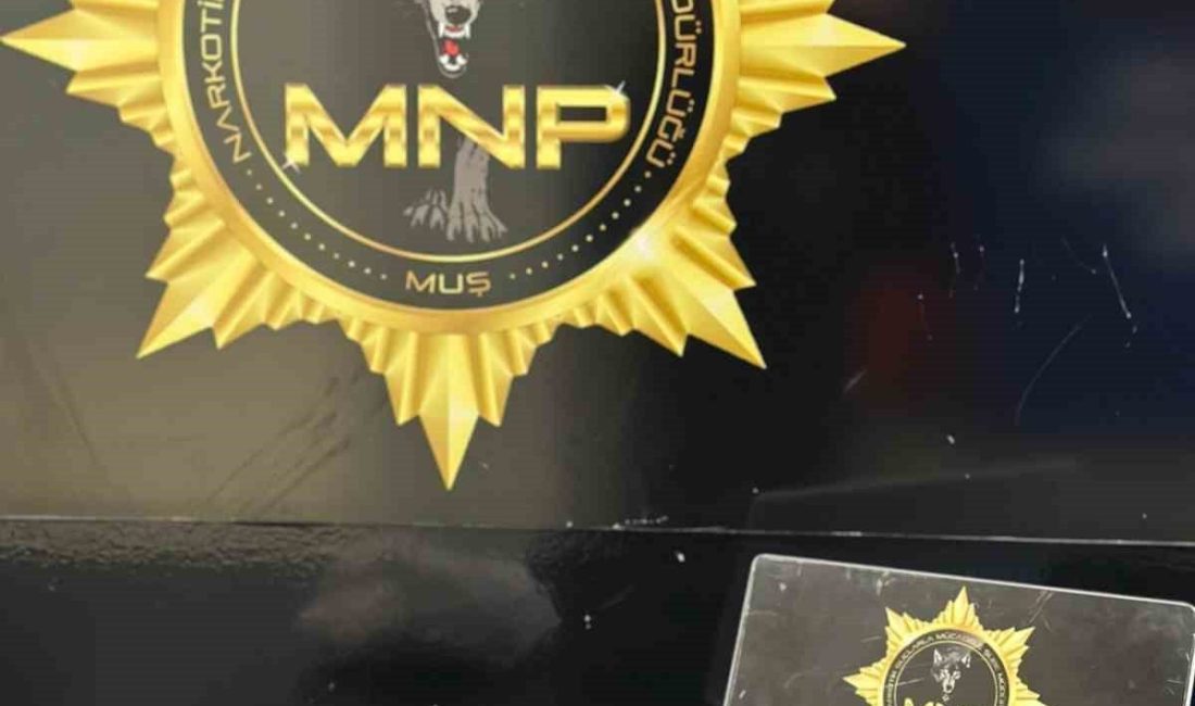 Muş’ta polis ekiplerince durdurulan bir araçta yapılan aramada 983 gram