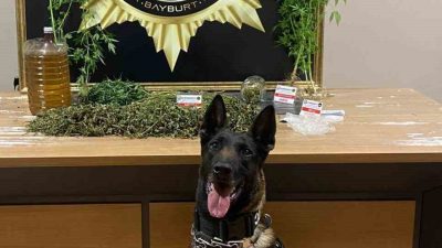 Bayburt’ta narkotik ekipleri, narkotik arama köpeği Pablo ile birlikte gerçekleştirdikleri