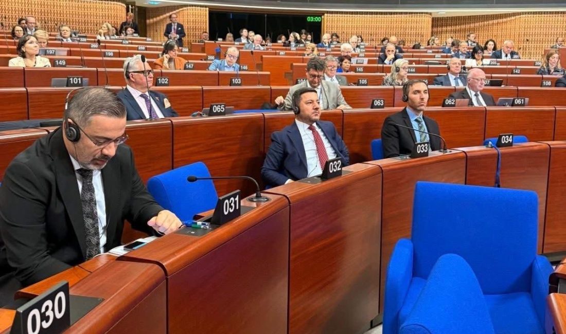 Nevşehir Belediye Başkanı Rasim Arı, Avrupa Konseyi Yerel ve Bölgesel