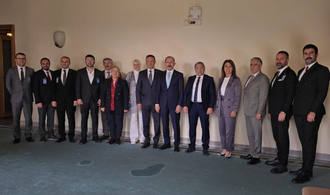 Orta Karadeniz Kalkınma Ajansı (OKA) Samsun Yatırım Destek Ofisi (YDO)