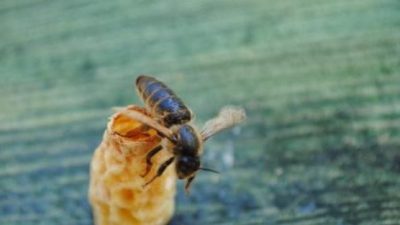Ondokuz Mayıs Üniversitesi’nden (OMÜ) 3 akademisyen tarafından geliştirilen ve patenti