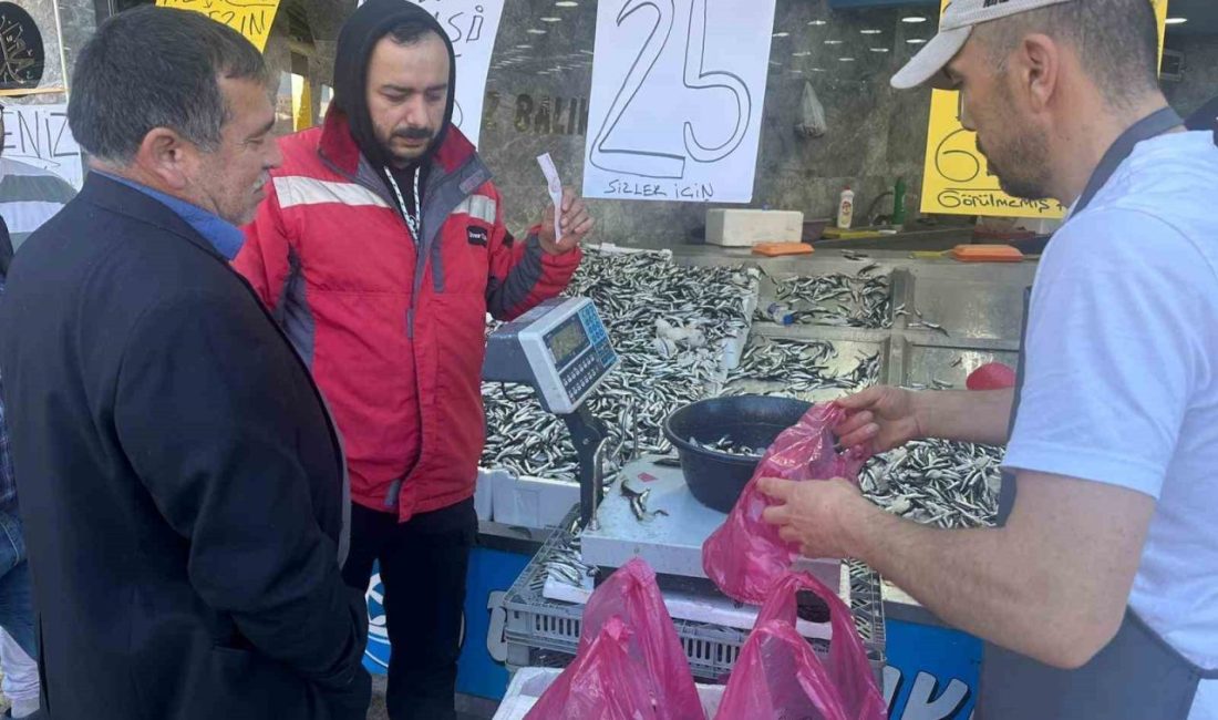 Karadeniz’de balık sezonu tüm hızıyla devam ederken, en ucuz hamsi