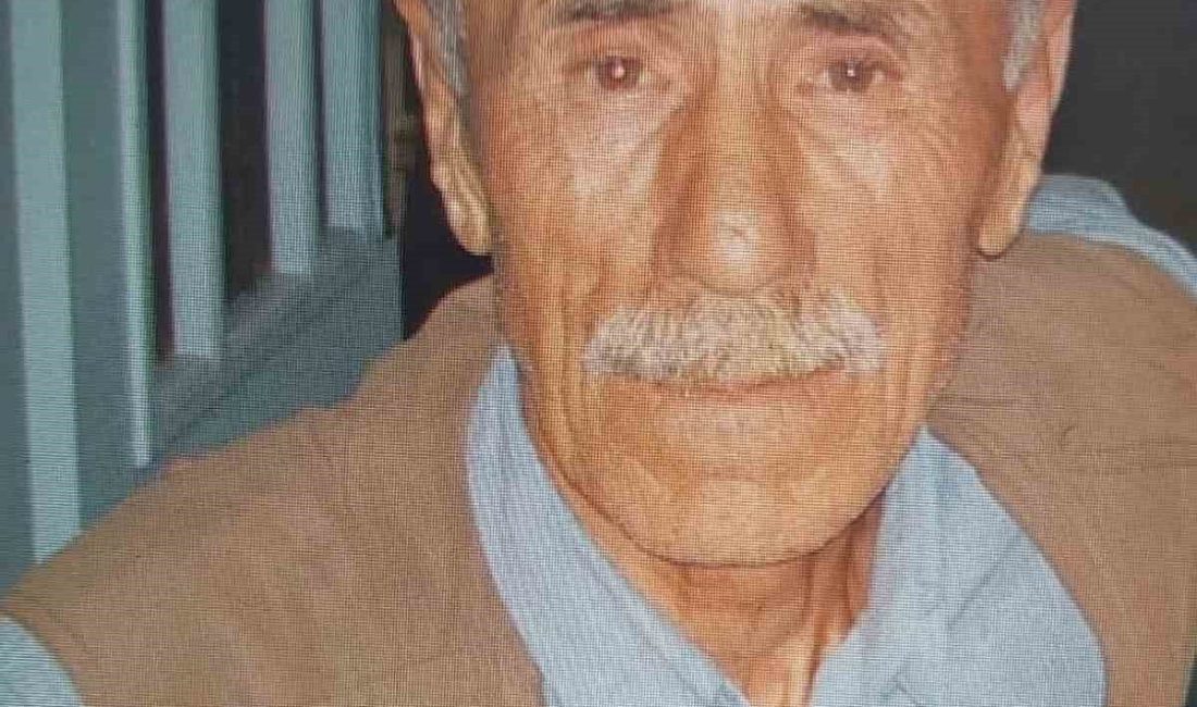 Ordu’nun Fatsa ilçesinde kamyon ile patpatın çarpışması sonucu meydana gelen