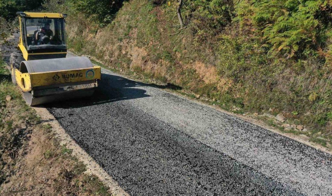 Ordu Büyükşehir Belediyesi, il genelindeki ihtiyaç duyulan yollarda sıcak asfalt