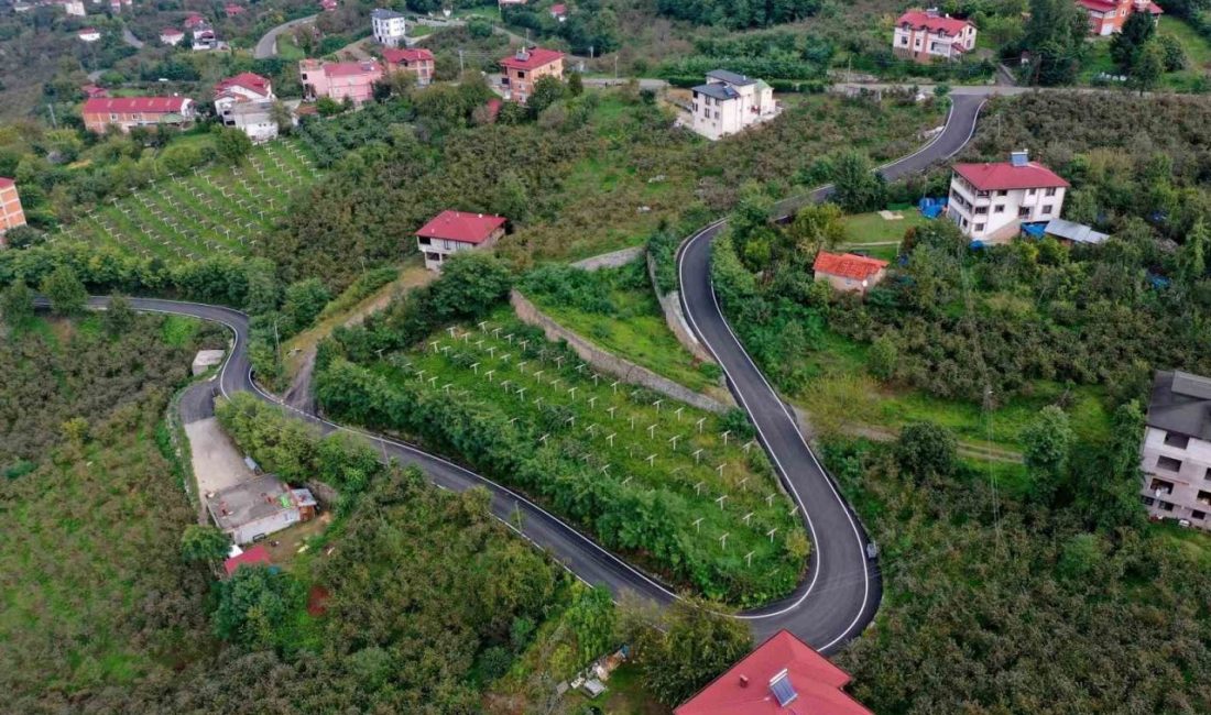 Ordu’da yolların standardı yükseliyor Ordu Büyükşehir Belediyesi, il genelinde sıcak asfalt çalışmalarını sürdürürken, tamamlanan