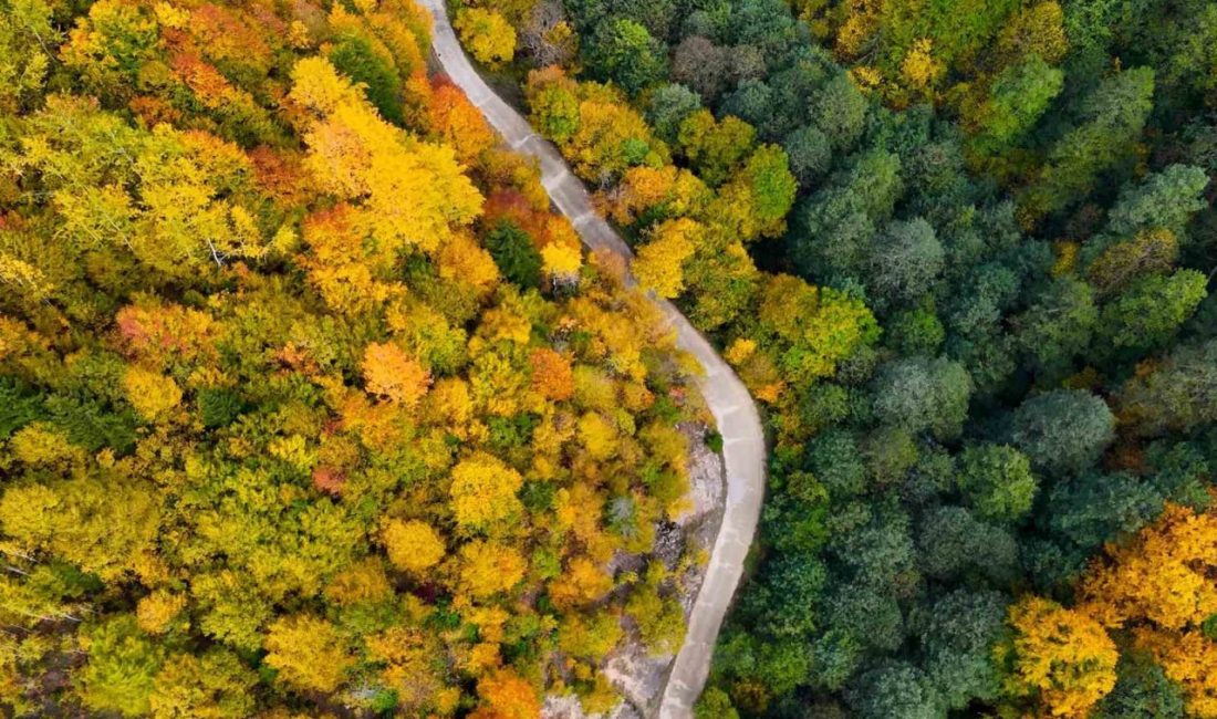 Gümüşhane’nin Kürtün ilçesi sınırlarında yer alan ve doğal güzelliğiyle öne