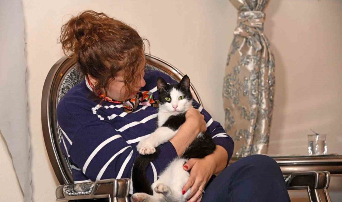 Osmangazi Belediyesi’nin okuma kültürünü yaygınlaştırmak ve kültürel birlikteliği artırmak amacıyla