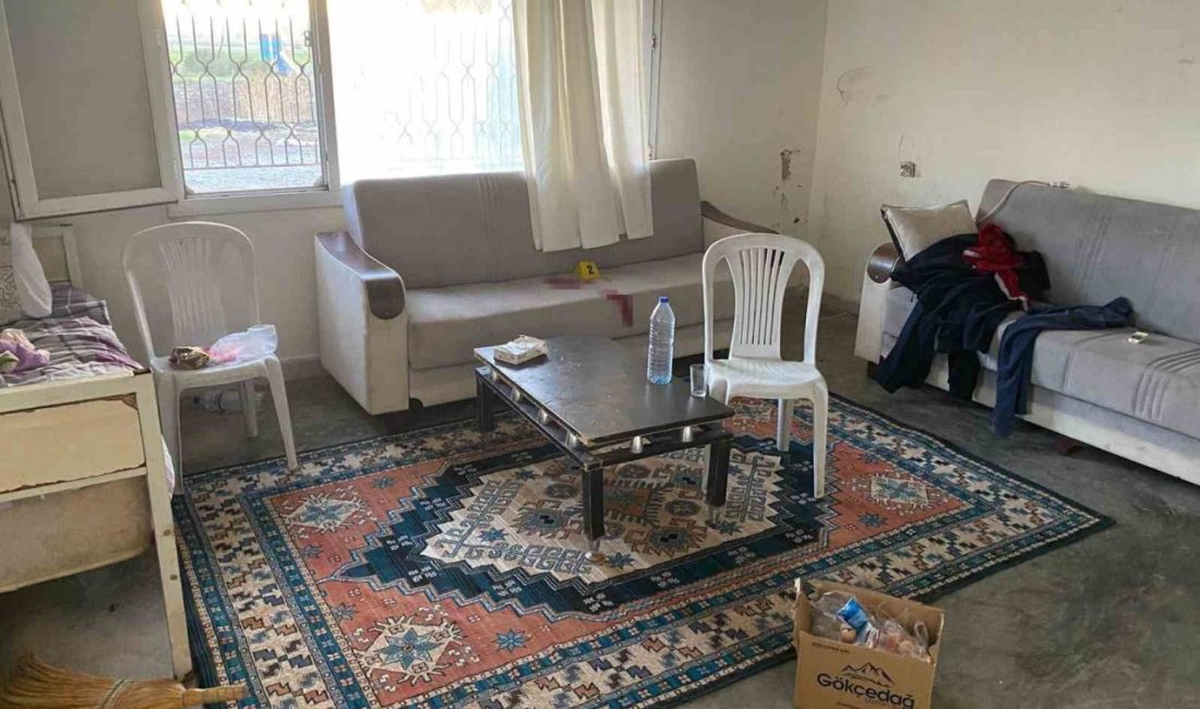 Osmaniye’nin Düziçi ilçesinde iki kardeş oynadığı sırada av tüfeğinin ateş