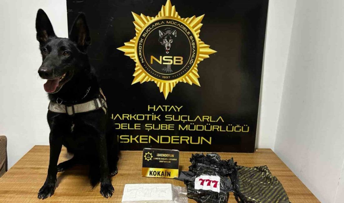 Hatay’da polis ekipleri tarafından narkotik köpeğiyle gerçekleştirilen operasyonda otomobilin kaput