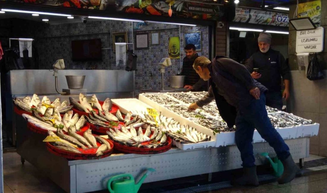 Denizlerde av sezonunun 1 Eylül’de başlamasının ardından denize açılan tekneler