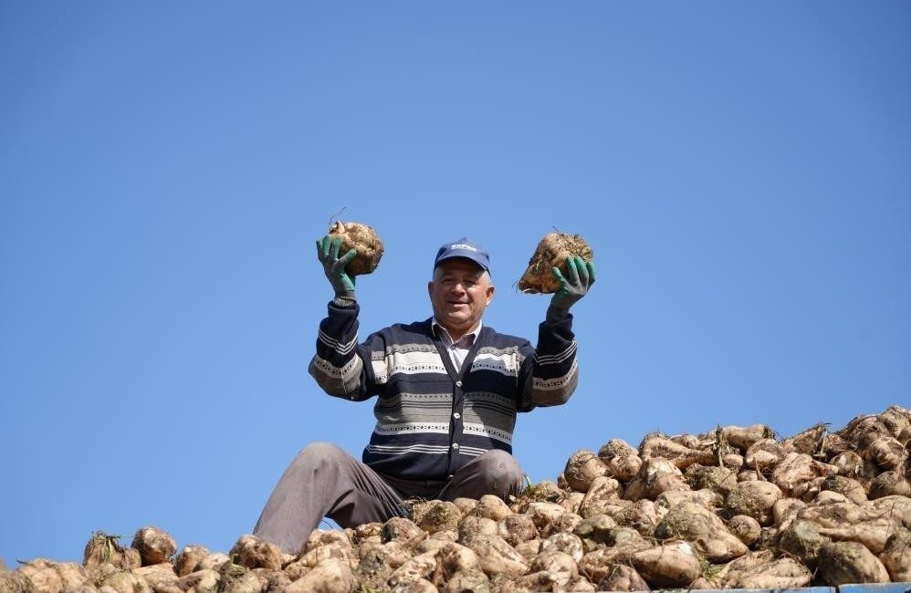 Bu yıl pancar üretimindeki düşüşe rağmen mevcut stoklar dolayısıyla şeker