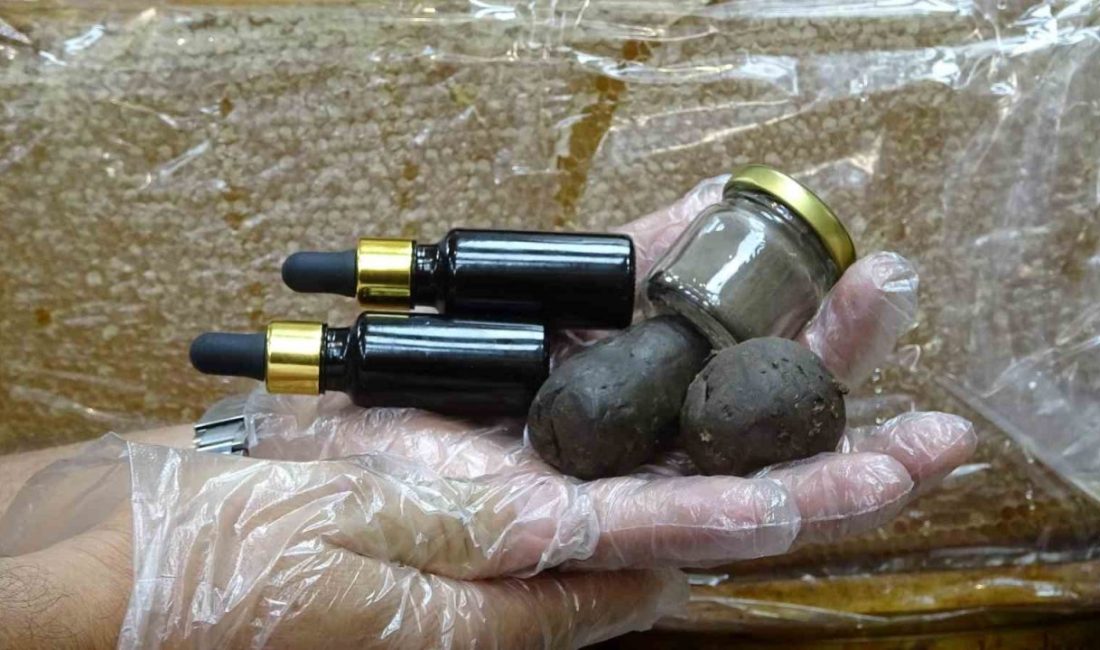 Siirtli bal üreticisi, pandemi sonrası akciğer ve hava kanallarında tahribat