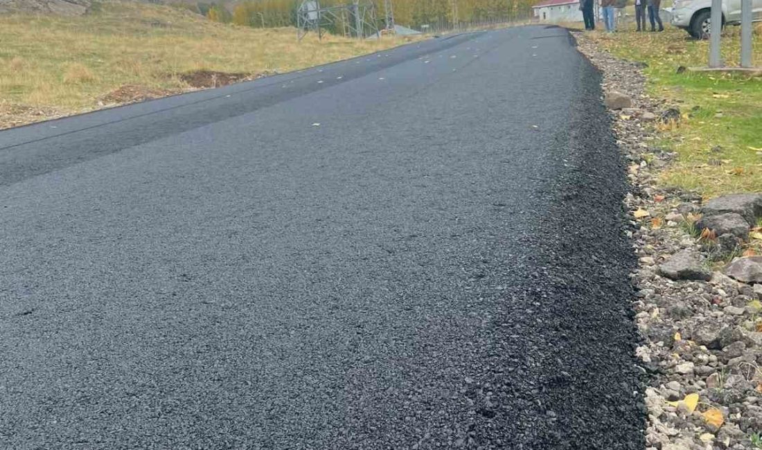 Ağrı’nın Patnos ilçesine bağlı Ziyaret Köyü yolunun 1,5 kilometrelik kesiminde