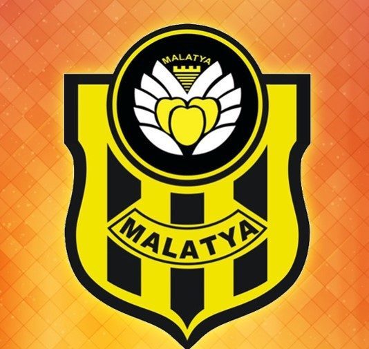TFF 2. Lig Kırmızı Grup ekiplerinden Yeni Malatyaspor, Profesyonel Futbol