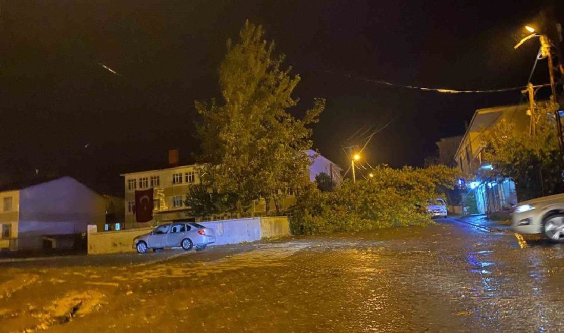 Bitlis’in Tatvan ilçesinde şiddetli rüzgarın etkisiyle bir ağaç park halindeki