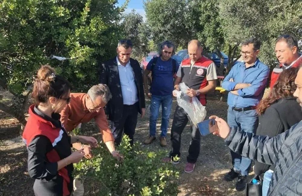 Aydın Valiliği Yatırım İzleme ve Koordinasyon Başkanlığı’nın desteğiyle yürütülen “Sakız