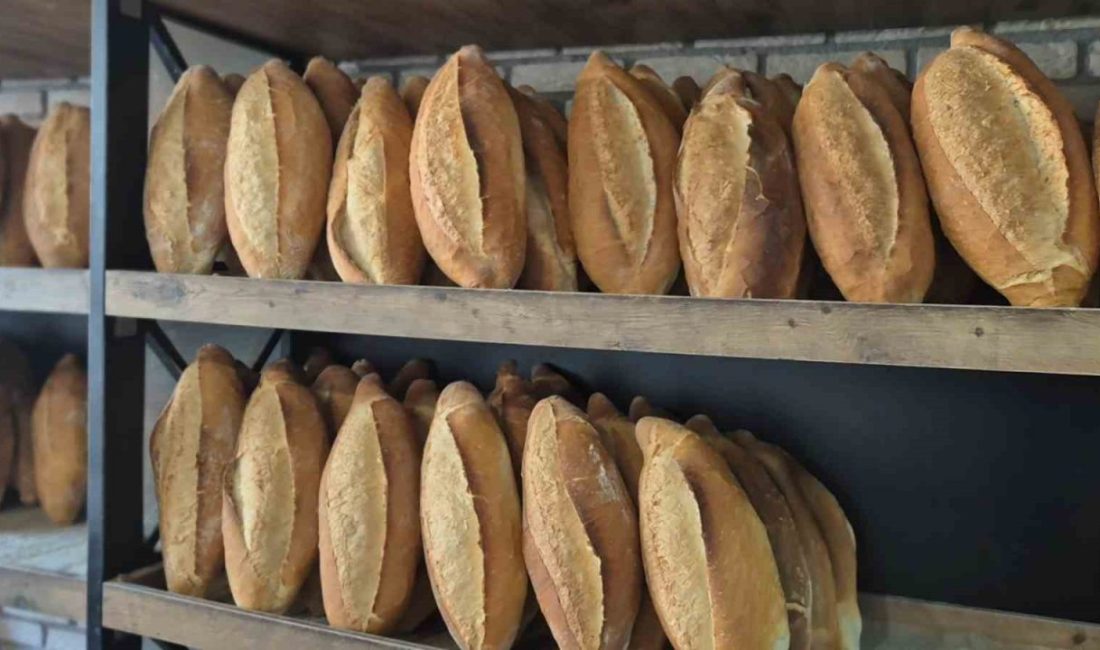 Samsun’da 210 gram somun ekmeğin fiyatı 12,5 TL’den 15 TL’ye