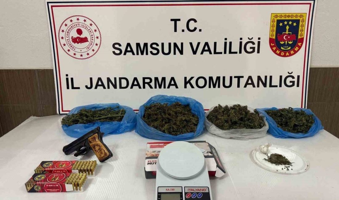 Samsun’da uyuşturucu ve kaçak silah operasyonları: 3 gözaltı Samsun’un Çarşamba ilçesinde yapılan operasyonlarda esrar, skunk bitkisi, sentetik hap