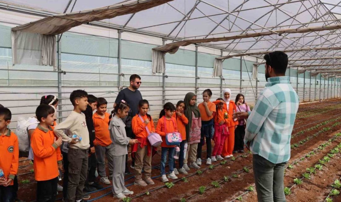 Şanlıurfa’da öğrenciler doğa ve tarımla buluşuyor Şanlıurfa Büyükşehir Belediyesi tarafından hayata geçirilen Doğaya Bir Adım Projesi’nin