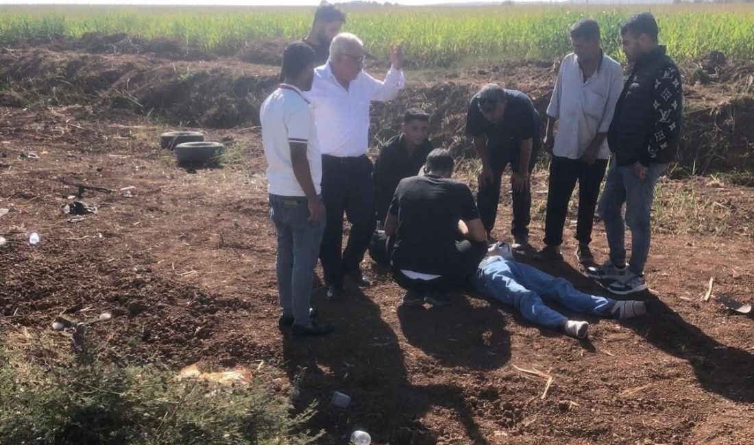 Şanlıurfa’da otomobil devrildi: 2 yaralı Şanlıurfa’nın Akçakale ilçesinde, otomobilin devrilmesi sonucu meydana gelen trafik kazasında