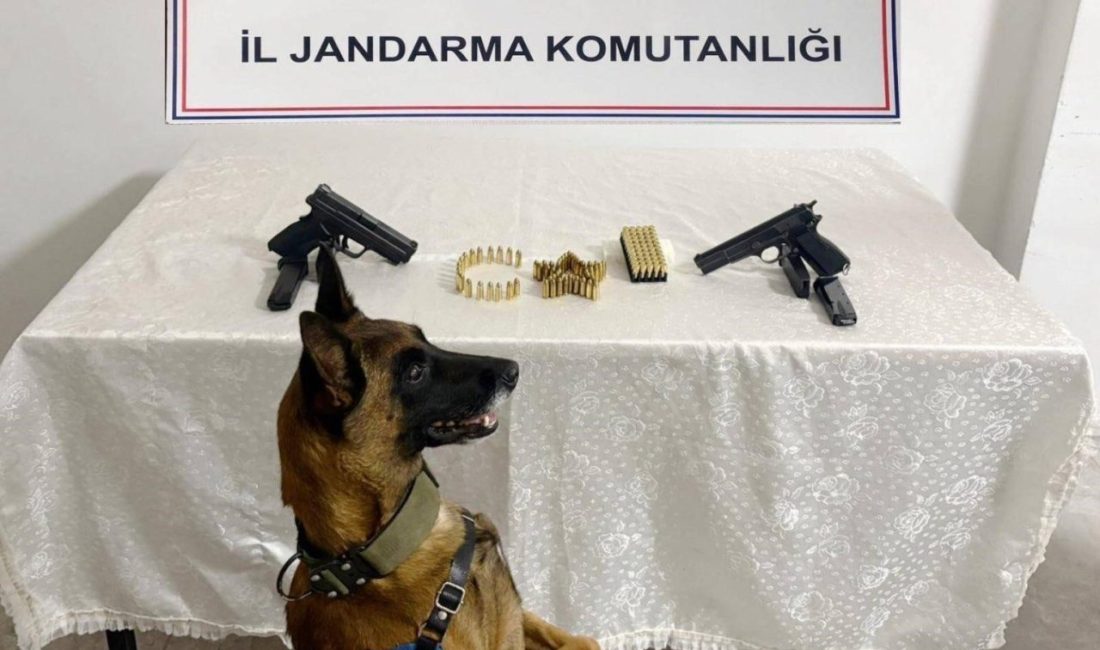 Şanlıurfa’da silah kaçakçılığı operasyonu: 8 gözaltı Şanlıurfa’da düzenlenen silah kaçakçılığı operasyonunda 8 şüpheli gözaltına alındı. Şanlıurfa