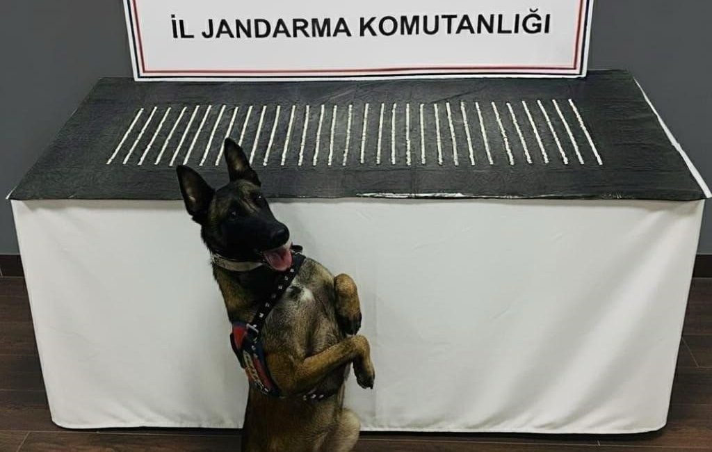 Şanlıurfa’da jandarma tarafından düzenlenen operasyonda çok sayıda uyuşturucu madde ele