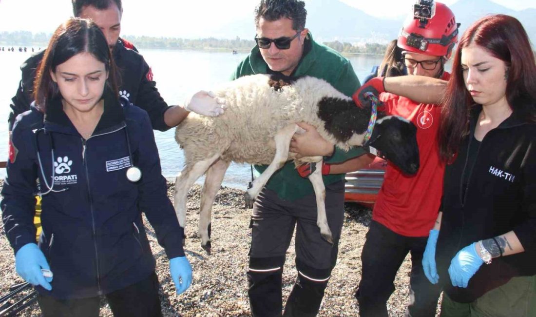İzmir’de muhtemel sel felaketine hazırlık amacıyla Afet ve Acil Durum