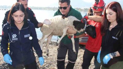 İzmir’de muhtemel sel felaketine hazırlık amacıyla Afet ve Acil Durum
