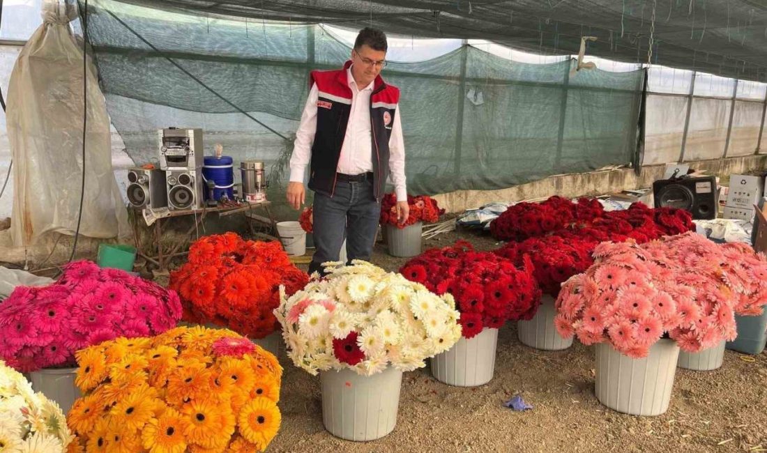 Tekirdağ Tarım ve Orman İl Müdürü Mehmet Aksoy, Süleymanpaşa ilçesi
