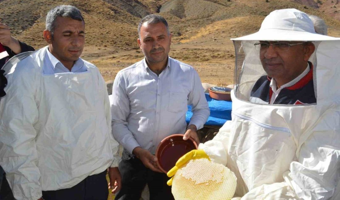 Siirt İl Tarım Müdürü Şanverdi: “Terörsüz Türkiye kapsamında dağlarımızda açacağımız yollar, bal üretimine büyük katkı sağlayacak” Siirt’in Pervari ilçesinde düzenlenen bal hasadına katılan İl Tarım ve