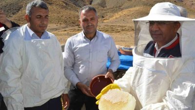 Siirt’in Pervari ilçesinde düzenlenen bal hasadına katılan İl Tarım ve