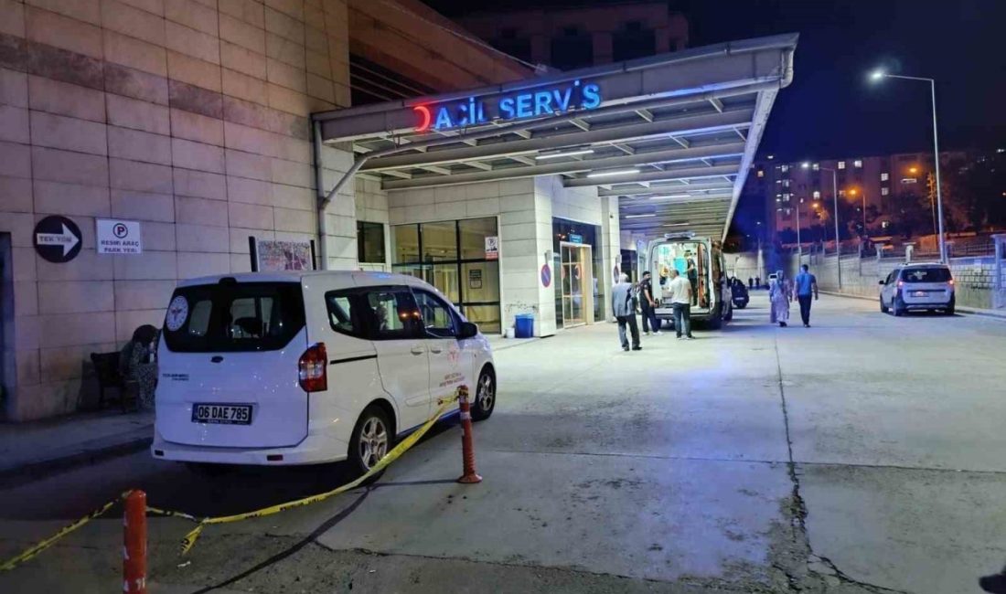 Siirt merkezine bağlı Kalender köyünde freni boşalan kamyonun neden olduğu