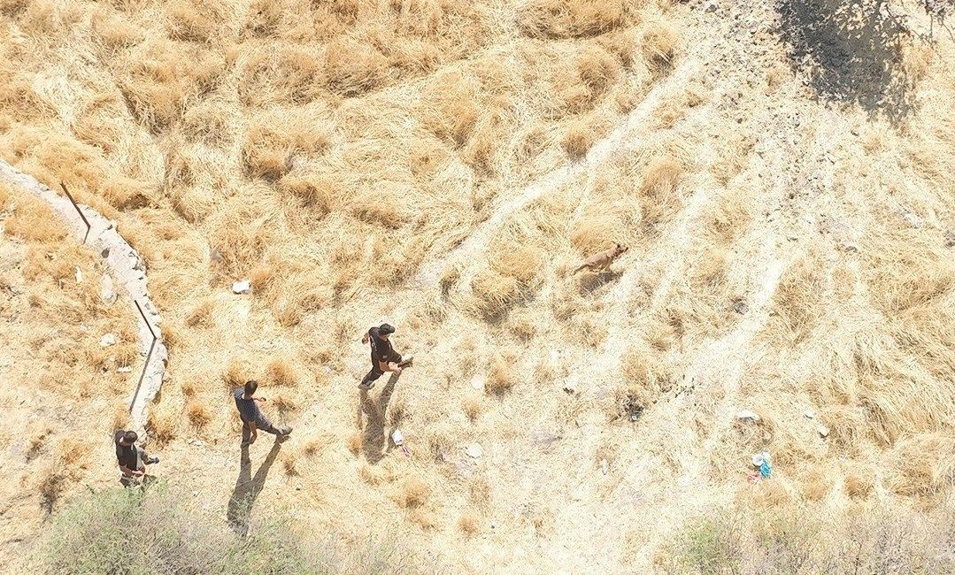 Siirt’te kaybolan alzaymır hastası Ramazan Batur için arama çalışmaları sona yaklaştı Siirt’te 17 Eylül’de kaybolan 83 yaşındaki alzaymır hastası Ramazan Batur’u
