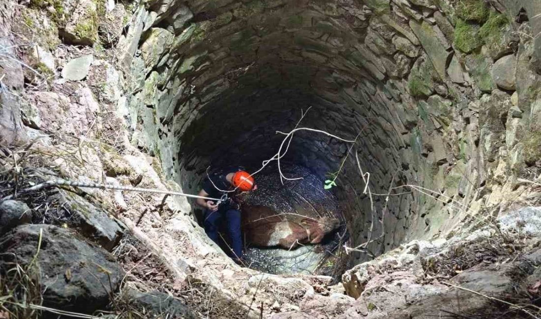 Siirt’in Baykan ilçesinde yaklaşık 10 metre derinlikteki su kuyusuna düşen