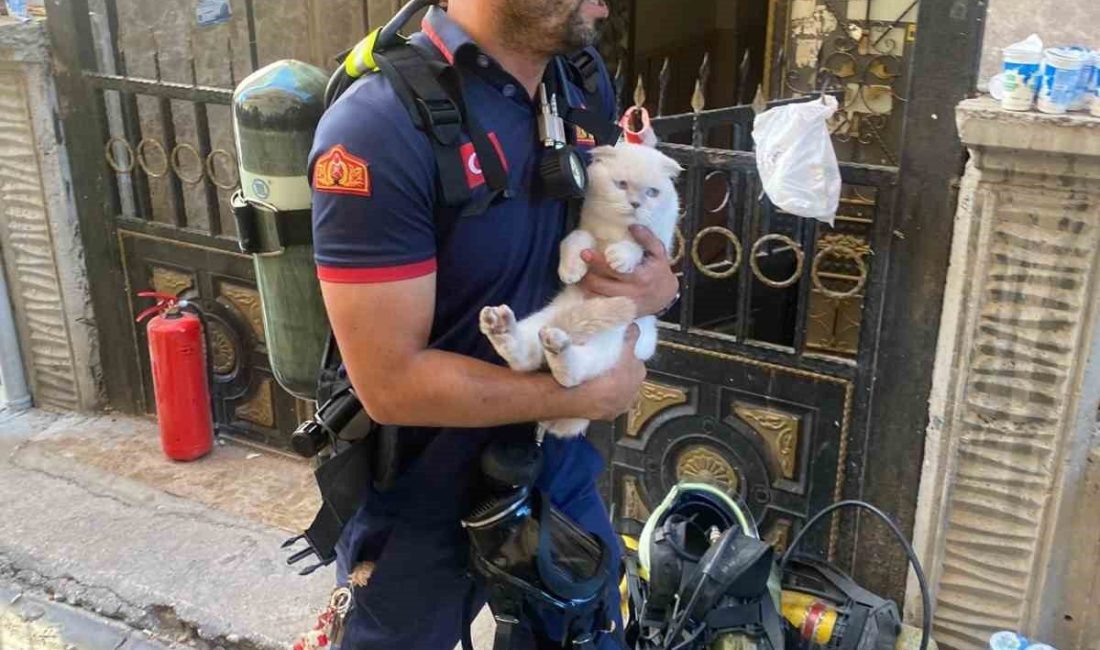Siirt’in Kurtalan ilçesinde bir binada çıkan yangında itfaiye ekipleri mahsur