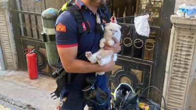 Siirt’in Kurtalan ilçesinde bir binada çıkan yangında itfaiye ekipleri mahsur
