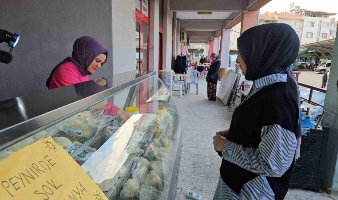 Balıkesir’in Sındırgı ilçesinde, Sanayi ve Teknoloji Bakanlığı koordinasyonunda Güney Marmara