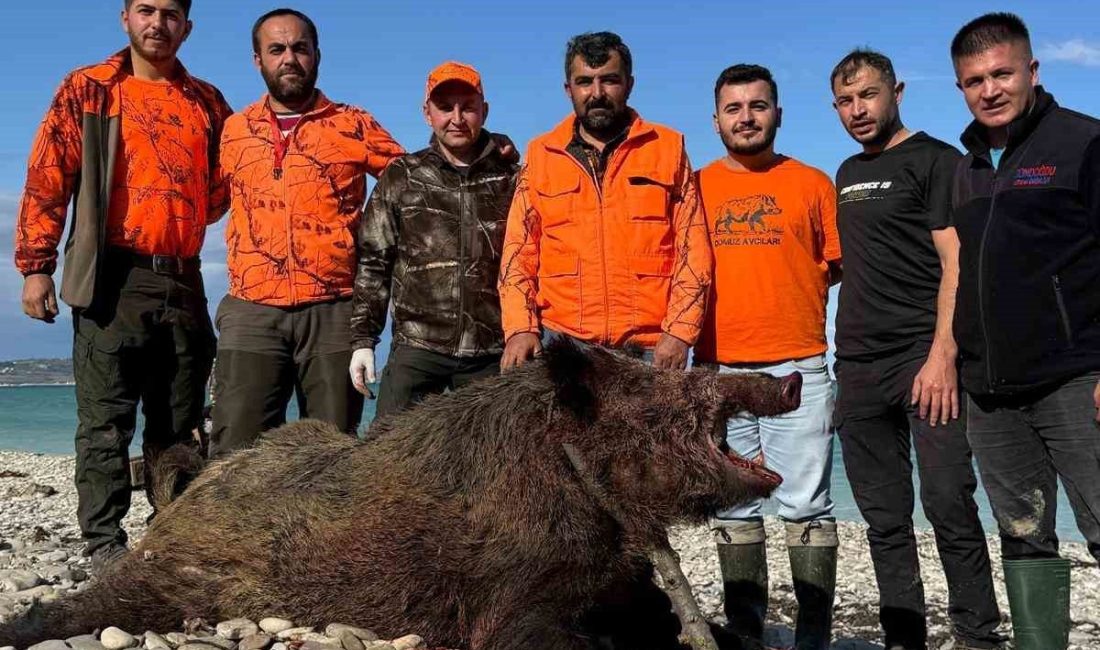 Sinop’ta tarım arazilerine büyük zarar veren ve köylülerin kabusu haline