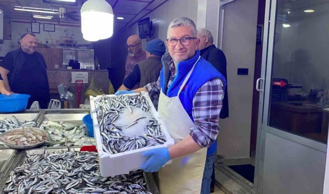 Sinop’ta yeni av sezonunun başlamasıyla birlikte bol miktarda avlanan hamsi,