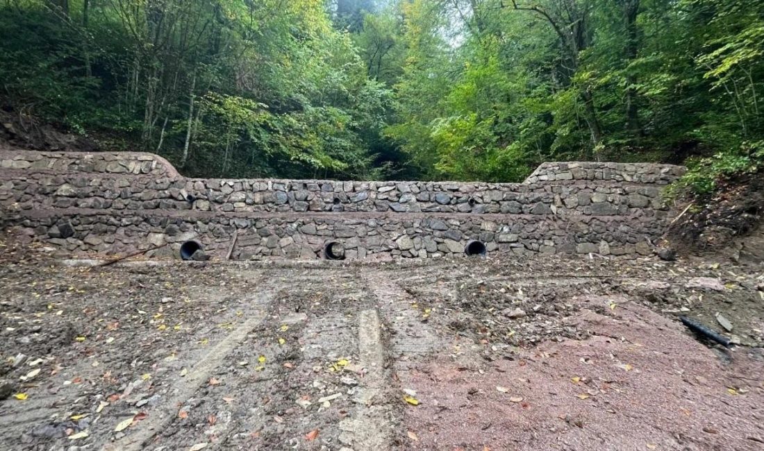 Sinop Orman Bölge Müdürlüğü, sel, taşkın ve erozyon tehdidi altındaki