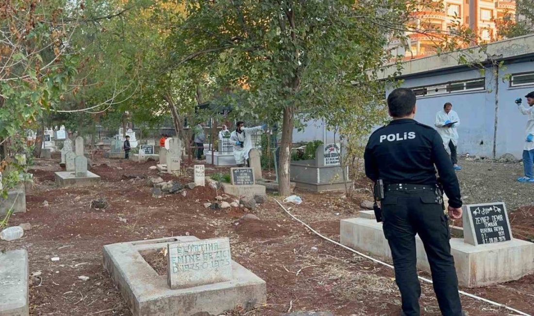 Şanlıurfa’nın Siverek ilçesinde bulunan mezarlıkta bebek cesedi bulundu. Olayla ilgili